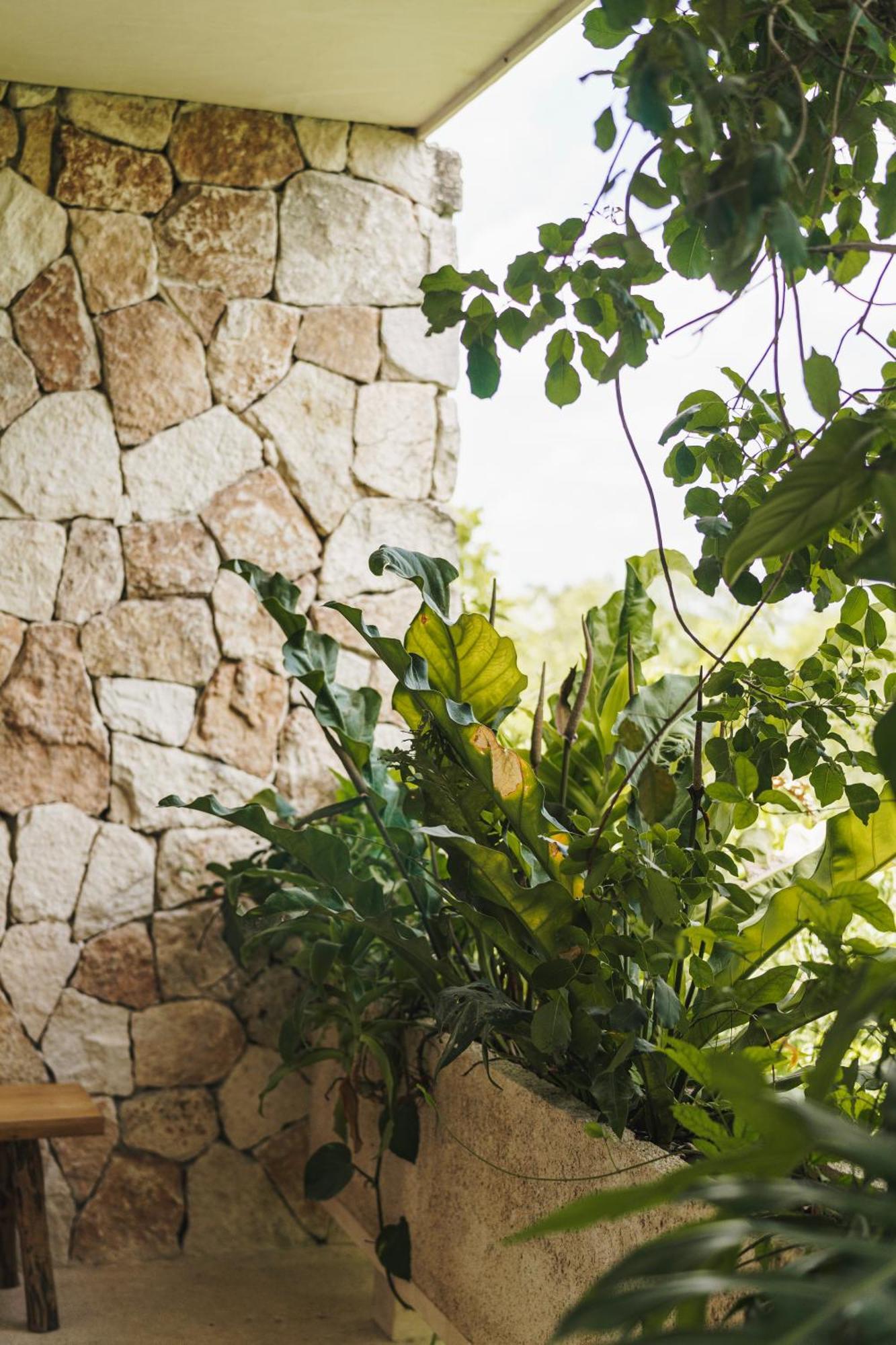 Teva Tulum, Aldea Zama公寓 外观 照片